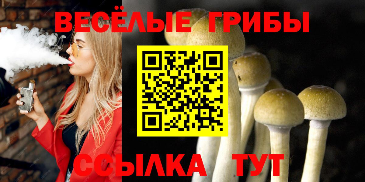 Железноводск  Галлюциногенные грибы Magic Shrooms  купить   Вход с VPN 