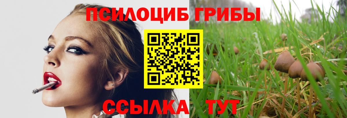 Псилоцибиновые грибы мицелий Железноводск